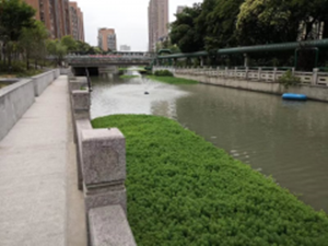 无锡市梁溪区民丰河综合治理工程